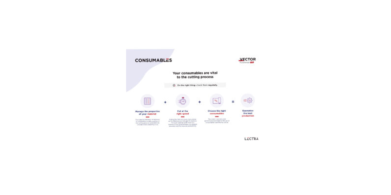 Consumables Vector IP6 Footwear-en